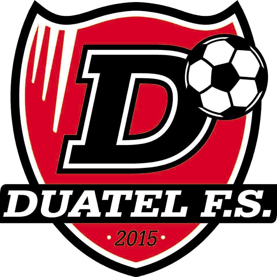 E.D.M. SALCEDA - DUATEL VODAFONE F.S.